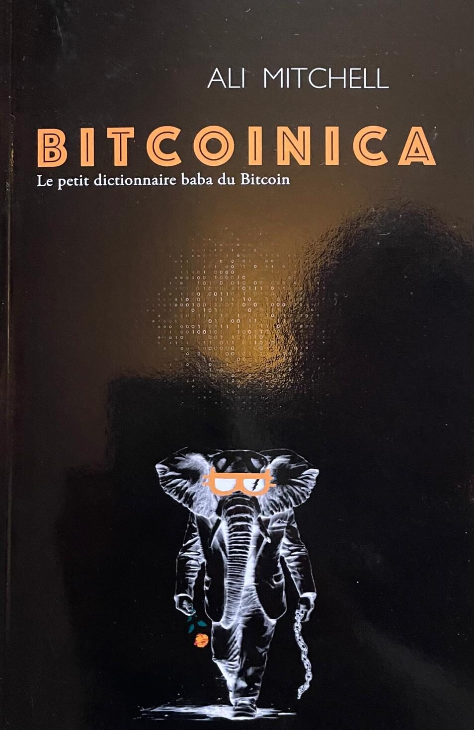 Couverture de « Bitcoinica »